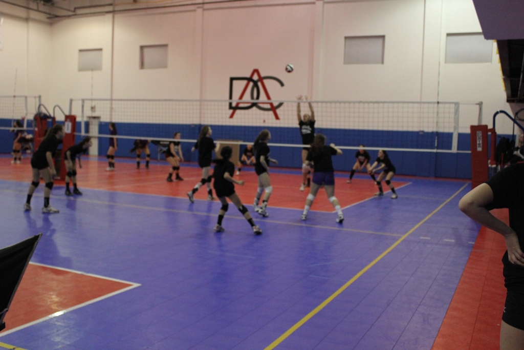 Downstate volleyball club