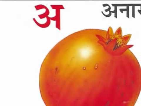 English of amrood