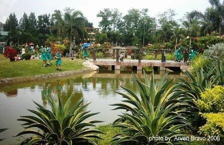 Nuvali swimming pool