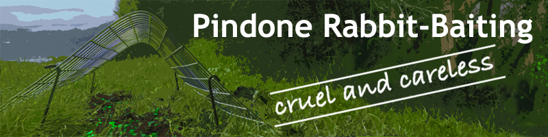 Pindone secondary poisoning