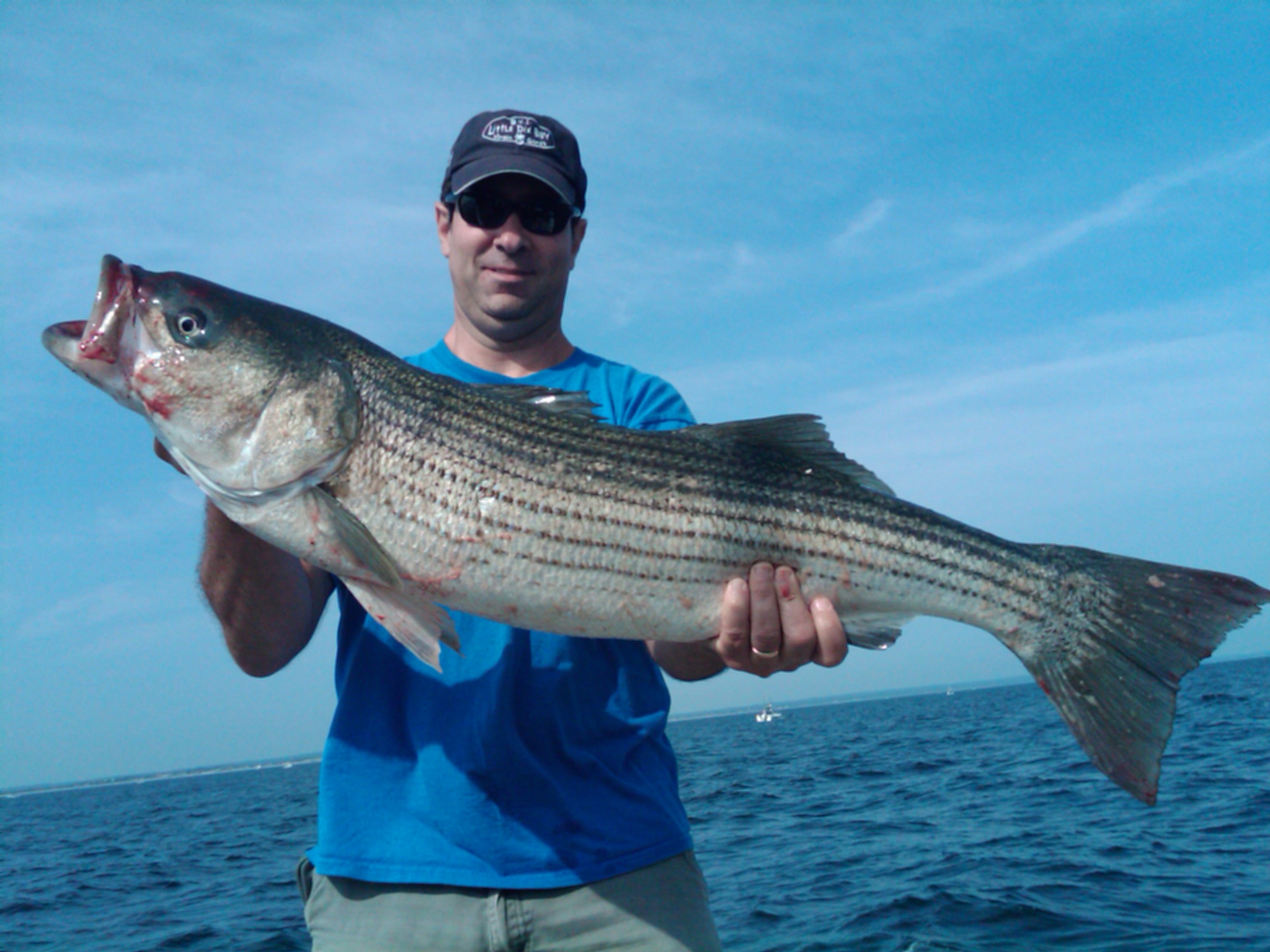 Cape cod striper fishing reports