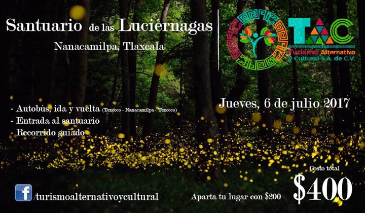 Luciernagas tlaxcala 2017