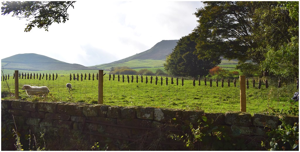 Winters gibbet