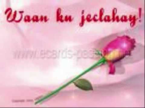 Hees lafoole