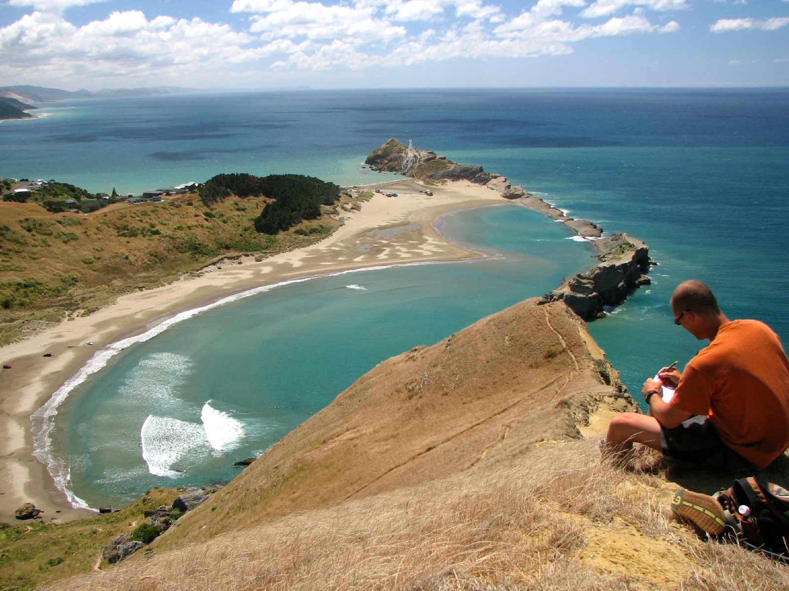 Nz frenzy guidebook